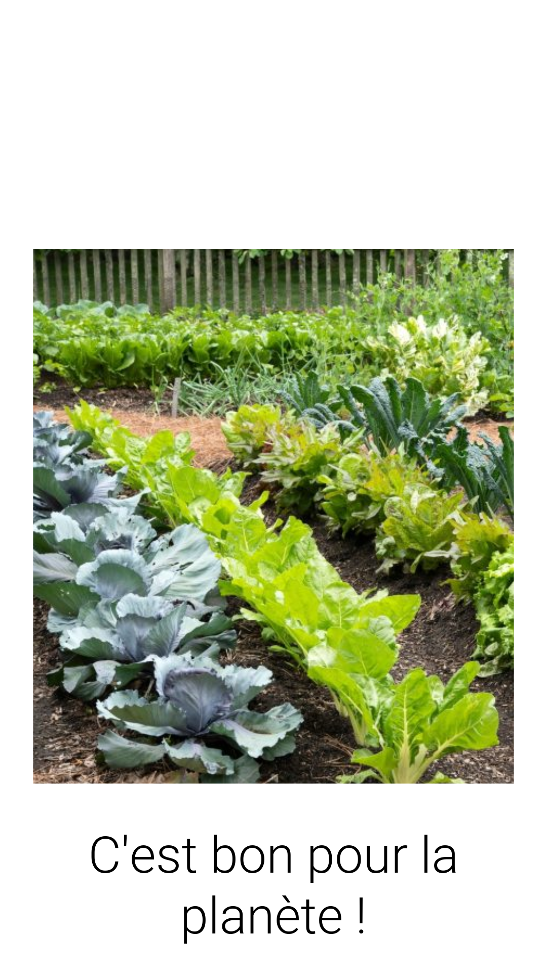 a garden with a variety of vegetables and vegetables